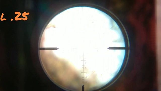 Охота на фазана с PCP винтовкой саl 25 (6.35)мм