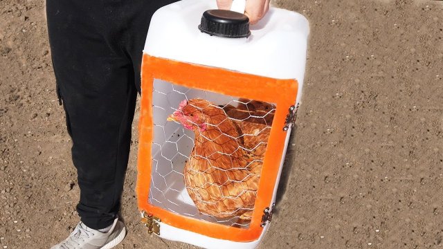 Клетка из канистры для кур как переноска или изоляция