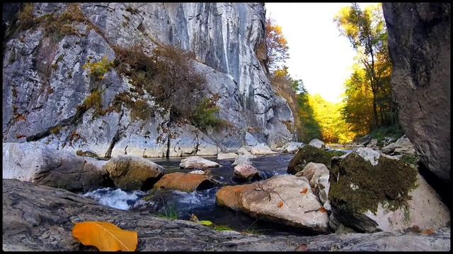 Прекрасный Звук Реки в горах.Звуки Природы