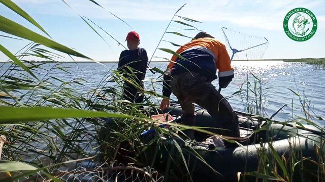 КАРП НА ОЗЕРЕ АБАЙ НА ДОНКИ И ПОПЛАВОЧКУ С ЛОДКИ, РЫБАЛКА В КАМЫШАХ И НА ЧИСТОМ! ЛОВИМ В КАЗАХСТАНЕ