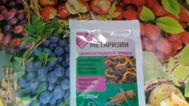 Метаризин. Биоинсектицид .Бомба замедленного действия для почвообитающих вредителей..