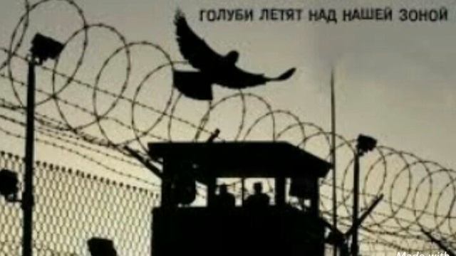 Голуби летят над нашей зоной.Дуэт.