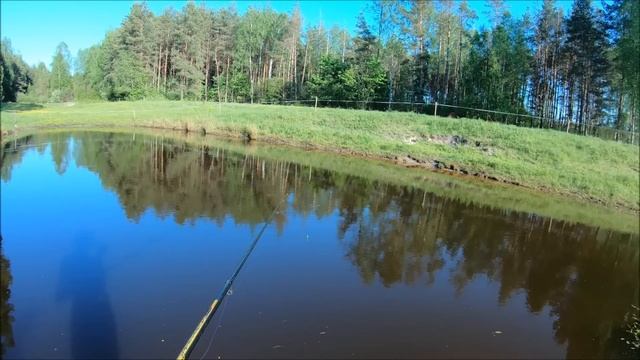 Огородно-рыболовный влог. Жизнь на хуторе.
