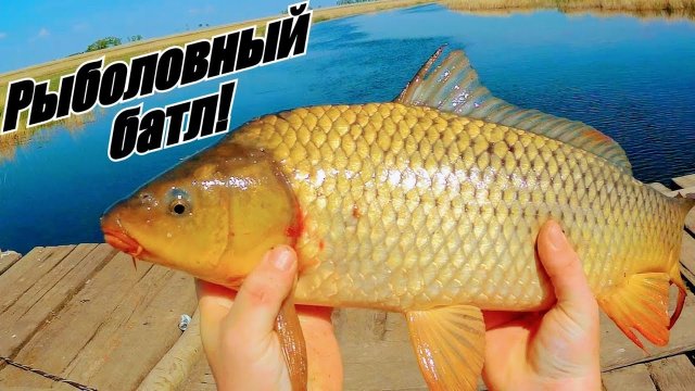 Рыбалка на паук!Рыболовный батл!Паук снова не подвел!Рыбалка на сазана! Рыбалка 2021!