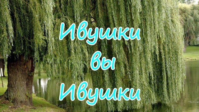 Ивушки вы Ивушки разбор песни на гармони