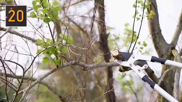 ?39 Товаров для Сада и Огорода с Алиекспресс