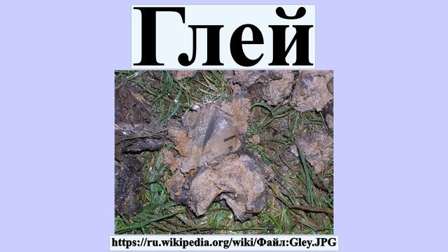 Глей