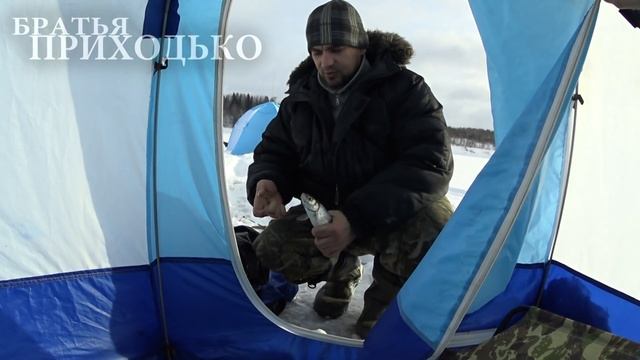 ЛОВИМ СИГА ЗИМОЙ / РЫБАЛКА НА ПЕЧОРЕ