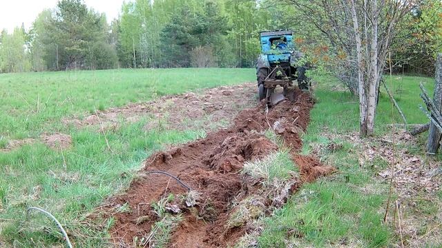 Т40 на пахоте.