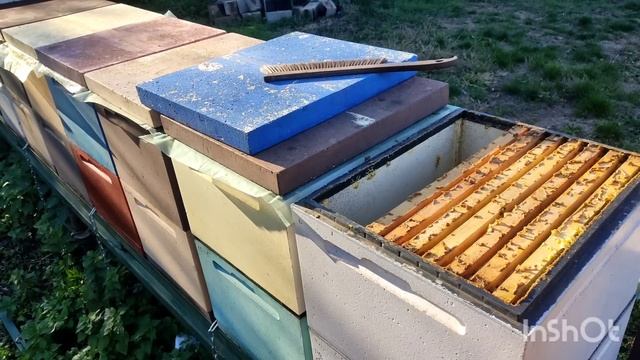 Сокращение пчел в зиму!