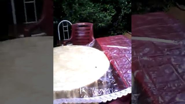 Радость в Зелёной комнате