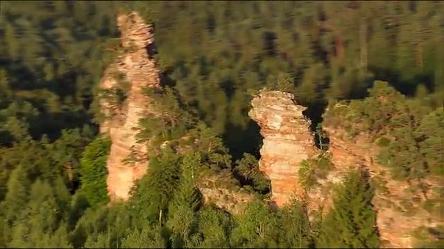 Дикая Природа Германии - Пфальцский Лес