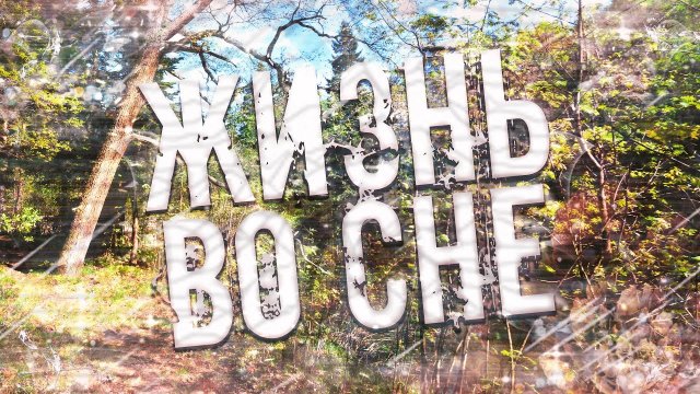 Страшные истории на ночь-Жизнь во сне