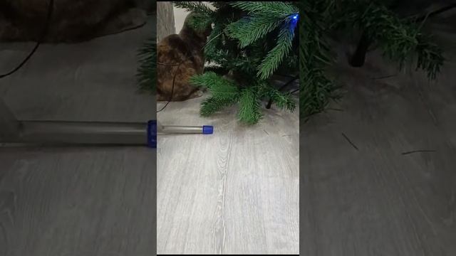 1000007662.mp4