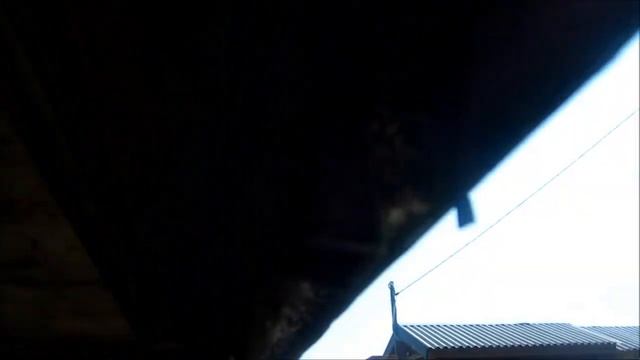 КУПИЛ БУДКУ НА ГАЗЕЛЬ, ОКАЗАЛАСЬ ГНИЛАЯ!!!