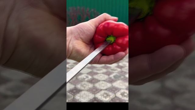 ЭТО ТО ЧТО НАМ НАДО В ВЫХОДНЫЕ