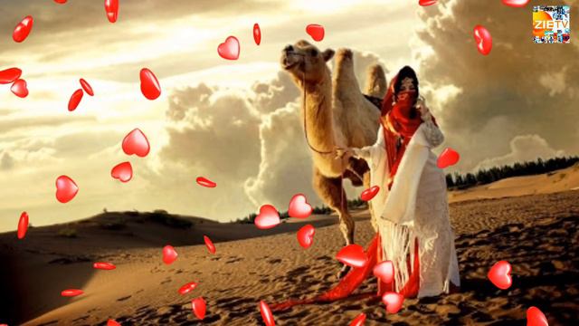 Туй Памирская Музыка