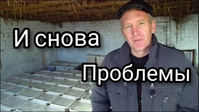 Проблема при продаже мёда, это не только цена.