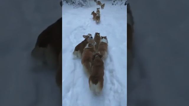 Радужный день 1 😍