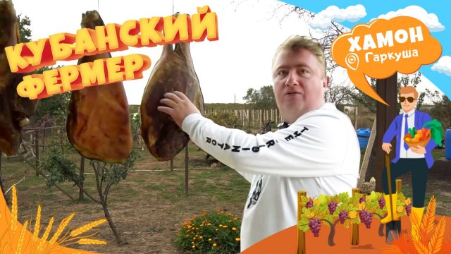 Где на Кубани производят хамон?  Кубанский фермер выяснил секреты этого бизнеса