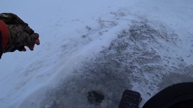 Зимняя Донная Удочка в Глухозимье. Ловля Плотвы на Удочку, Донку! Зимняя рыбалка на плотву!