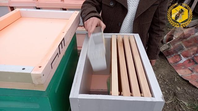 Быстрое развитие пасеки
