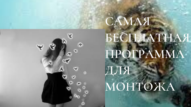 самая бесплатная программа для монтажа  видео