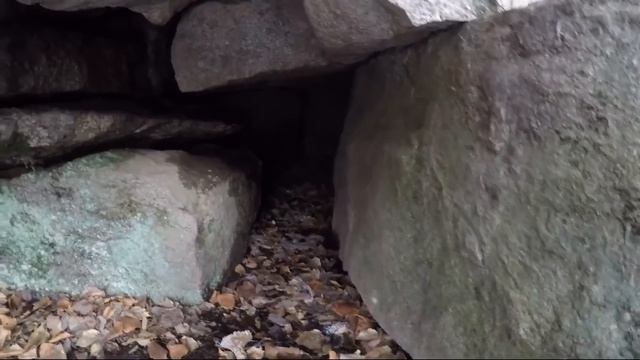 Ищу волчье логово/ ОХОТА НА ВОЛКА В БУРЯТИИ