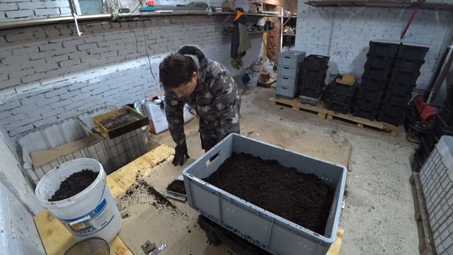 Разведение червя как бизнес