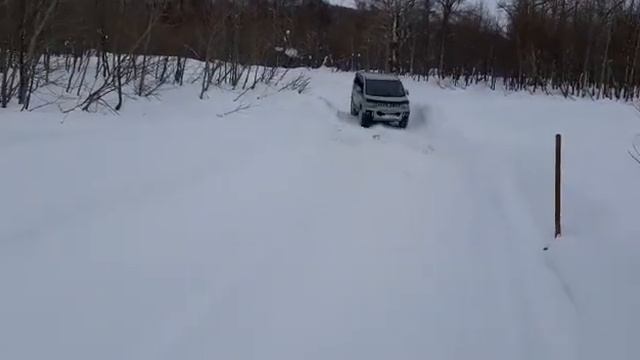 Делика д5