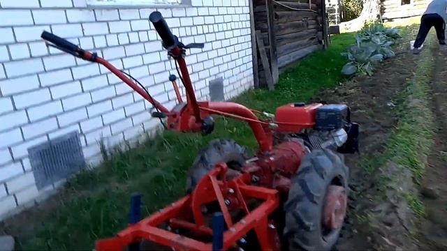 Копаем картофель мотоблоком МТЗ-09Н с картофелекопалкой.