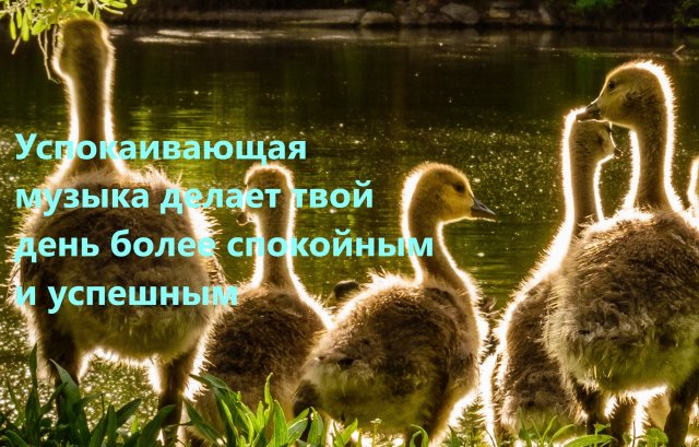 Музыка для души и сердца, снимает напряжение и усталость