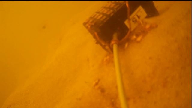 Как реагирует рыба на кормушку с геркулесом+ванилин на реке? Реакция рыбы под водой.