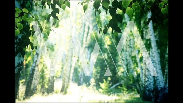 Восстановление легких. Бронхит. Пневмония. Воспаление легких. Матрица Гаряева.