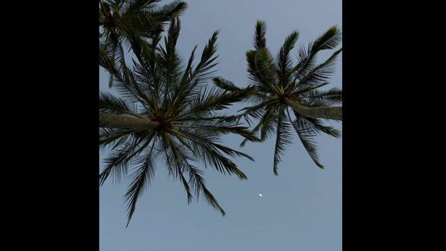 SfTory-катюха слышь(slow+reverb)