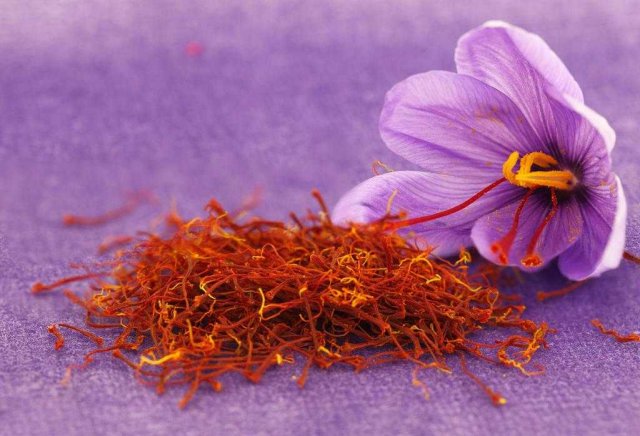 Шафран (специя) / Saffron  / Как это растет
