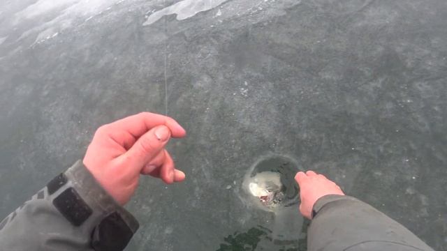 Ловля крупного леща на водохранилище !!!!!!!!!!!! 2 часть !!!!!!!!!!