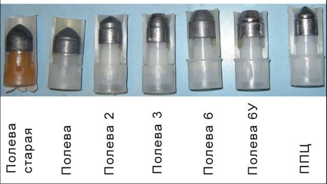 ✔️КАКОЙ ПУЛЕЙ СТРЕЛЯТЬ КАБАНА? ОБЗОР ЛУЧШИХ ПУЛЬ!