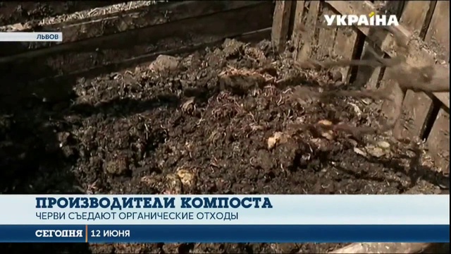 Разведение червей на перепелином помете