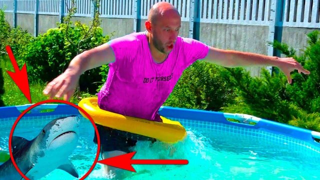 КАК ВЫГНАТЬ БАТЮ из БАССЕЙНА?