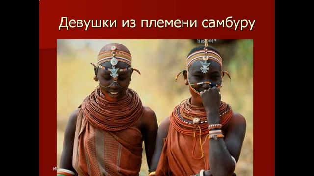 Презентация Народы Африки