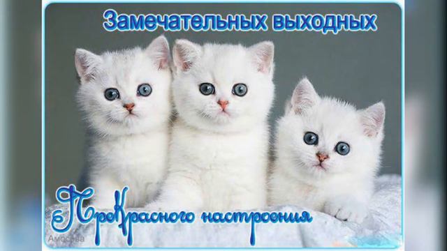 Хороших выходных! Приятных выходных!