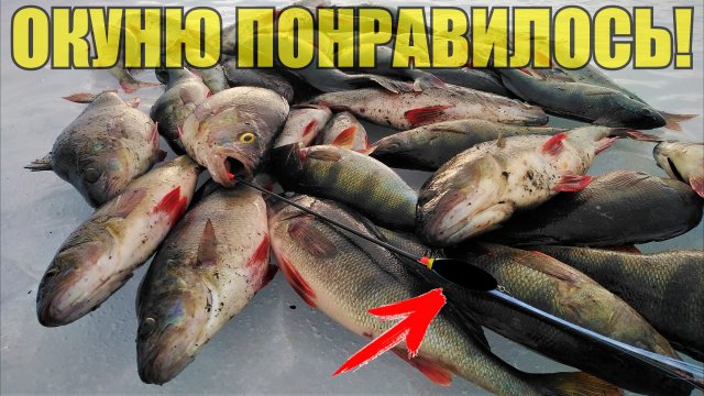 Окуню нравятся такие блёсны! Раздача мордатых на Ладоге в мороз. Ловлю самоделками