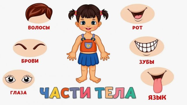 Развивающие мультики для малышей - Учим части тела для детей - Развитие детей
