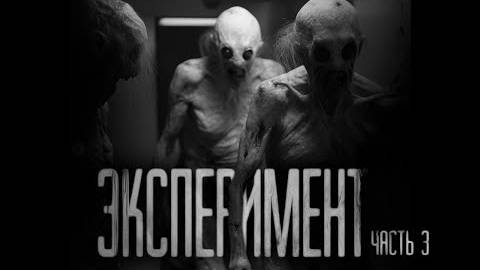 ЭКСПЕРИМЕНТ ВЫШЕЛ ИЗ-ПОД КОНТРОЛЯ. Часть 3. Страшные истории на ночь