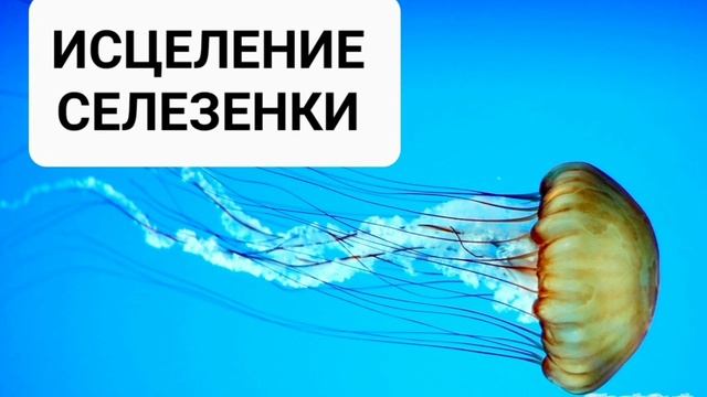 Исцеление селезенки. Мощный саблиминал, усиленный бинауральными ритмами. Аффирмации на самоисцелени
