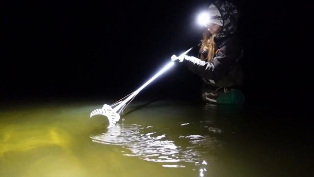 НОЧНАЯ ЛОВЛЯ РАКОВ НА РАКОХВАТ. Собираю раков по пояс в воде осенью.