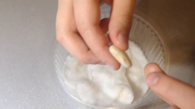 Как вырастить фасоль