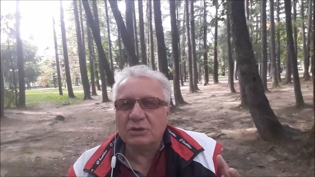 не видеть леса за деревьями консультация психолога