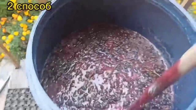 ВИННЫЕ ДРОЖЖИ.